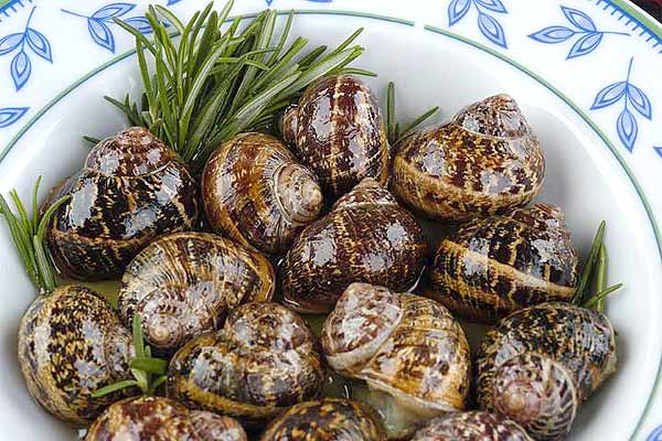 Fried snails
